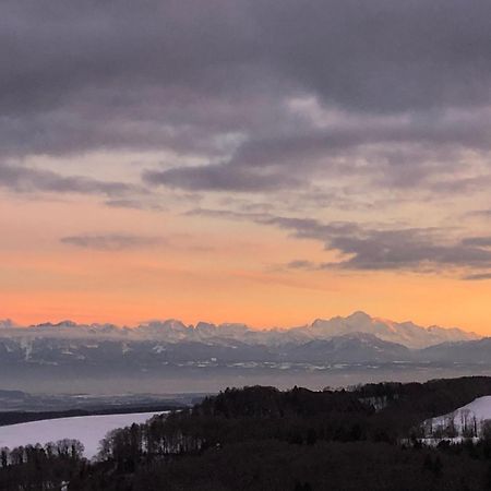 La Croisee Des Chemins Premier Esterno foto