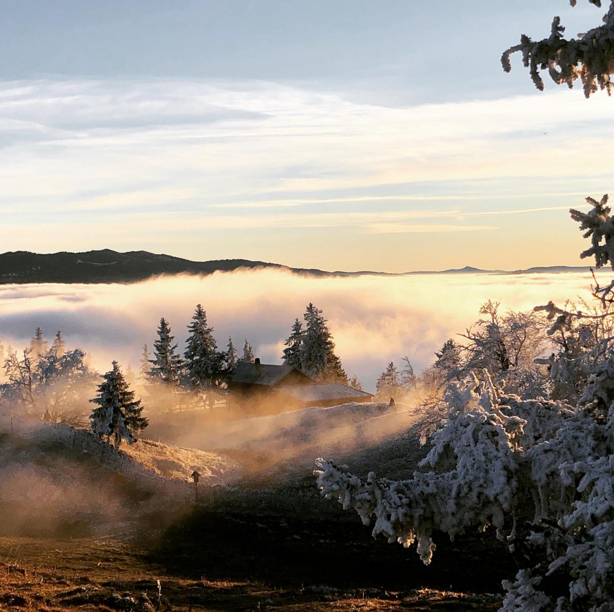 La Croisee Des Chemins Premier Esterno foto